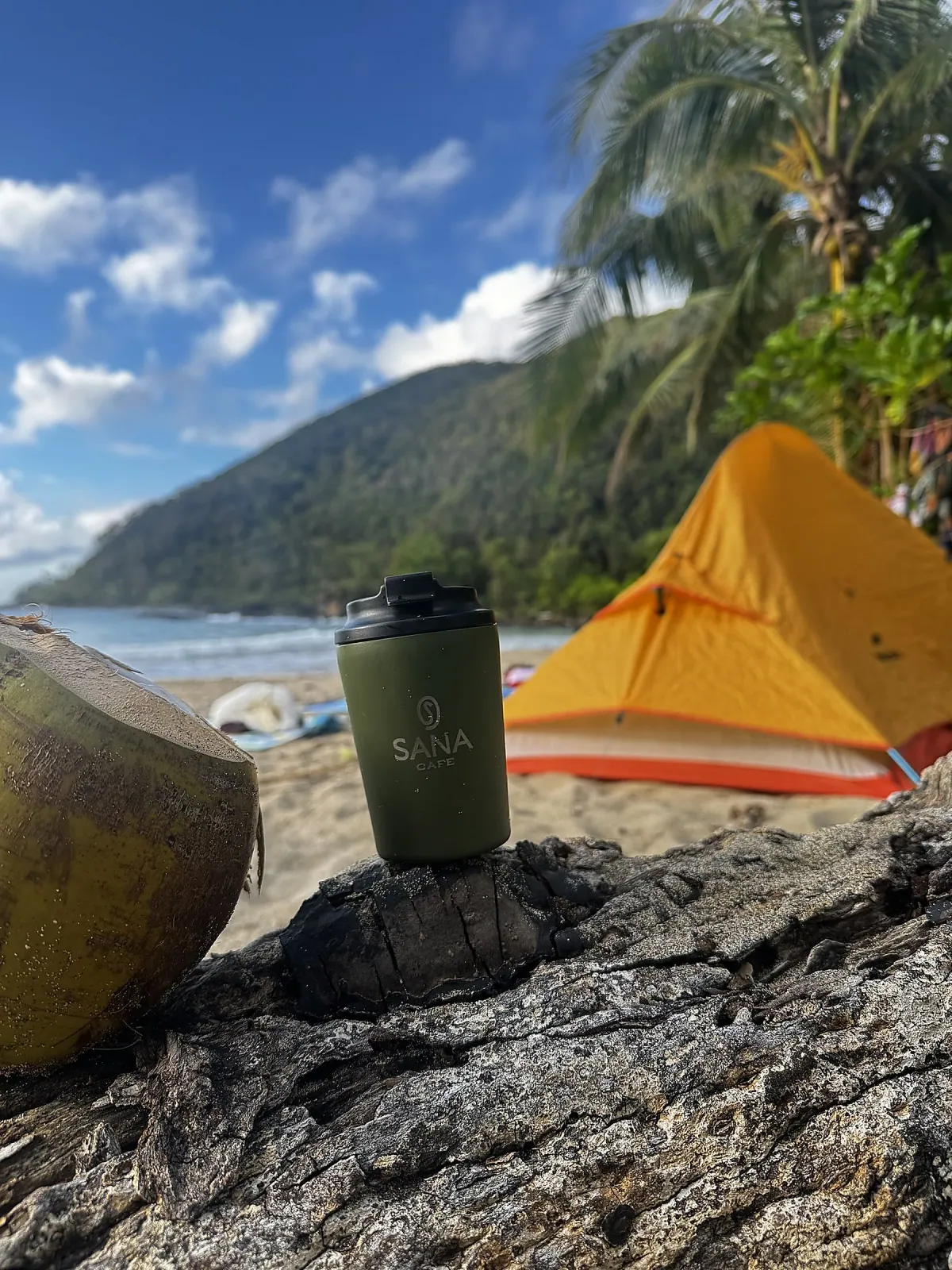Flask resting on a branch